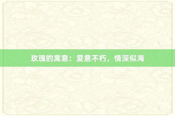 玫瑰的寓意：爱意不朽，情深似海