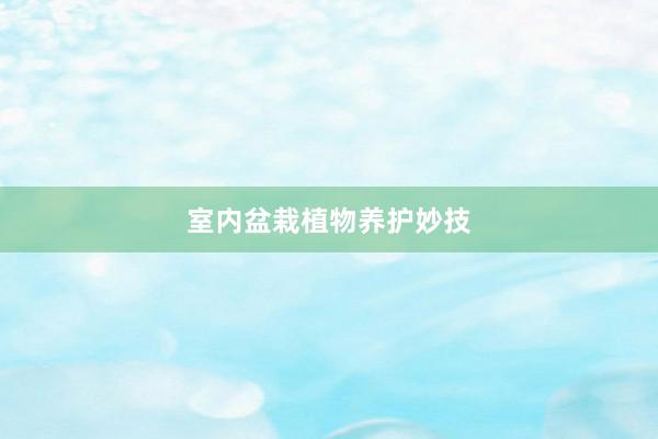 室内盆栽植物养护妙技