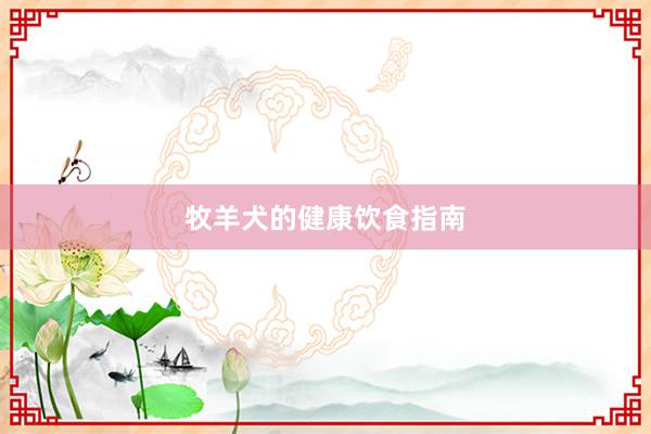 牧羊犬的健康饮食指南