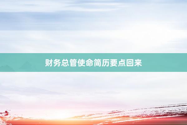 财务总管使命简历要点回来